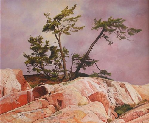 Ivan Wheale - Bay of Island Pine