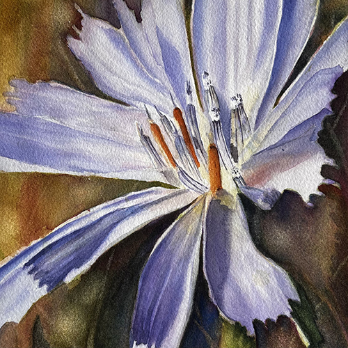 Diane Carriere - No Ordinary Chicory