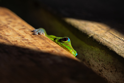 Breanna J Marshall - In The Spotlight