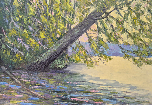 Anita Bunt - Cedar Shoreline