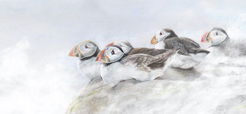 Astrid Colton - Misty Morning Watch