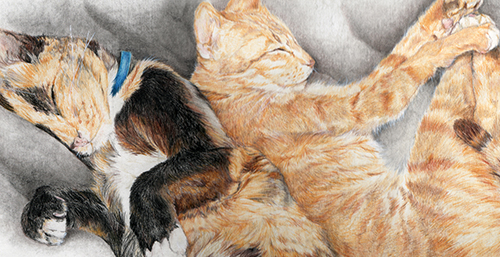 Astrid Colton - The Girls